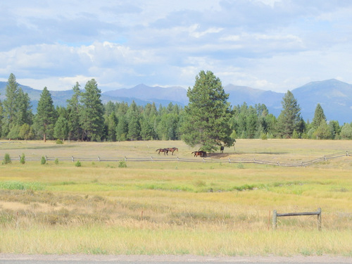 GDMBR: Soon after passing the Blackfoot River, we turned north.